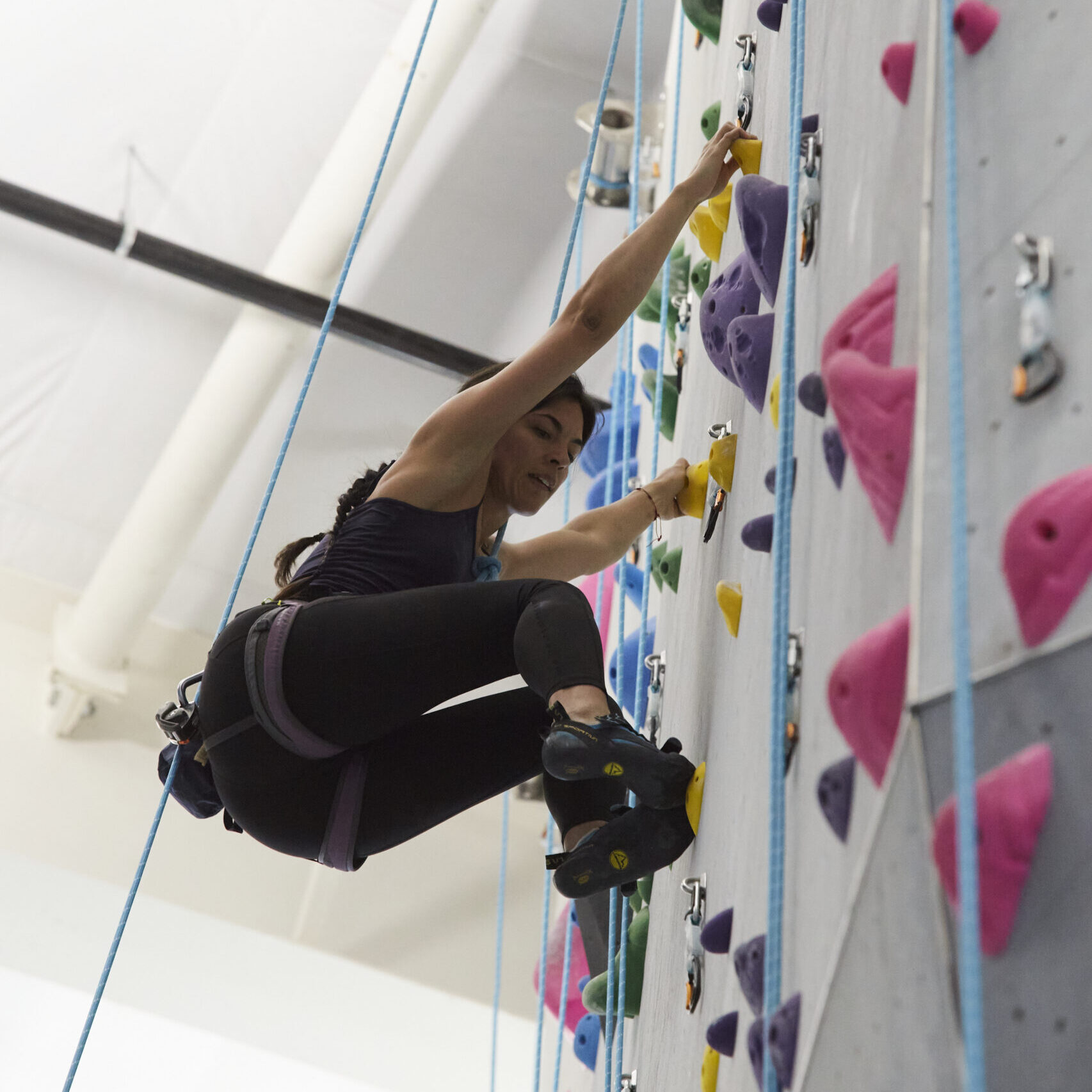 find all the essential climbing gear you need at velocity