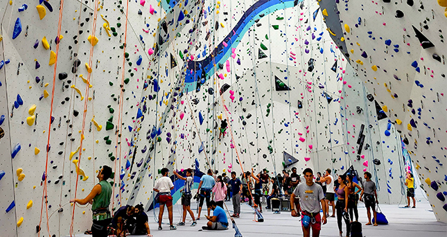 Purchase a Day Pass at Velocity Climbing Miami